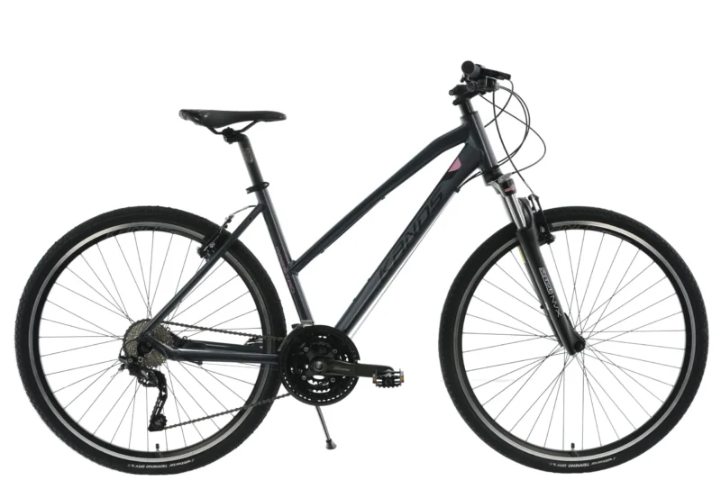 DSC0940-scaled MAESTRO